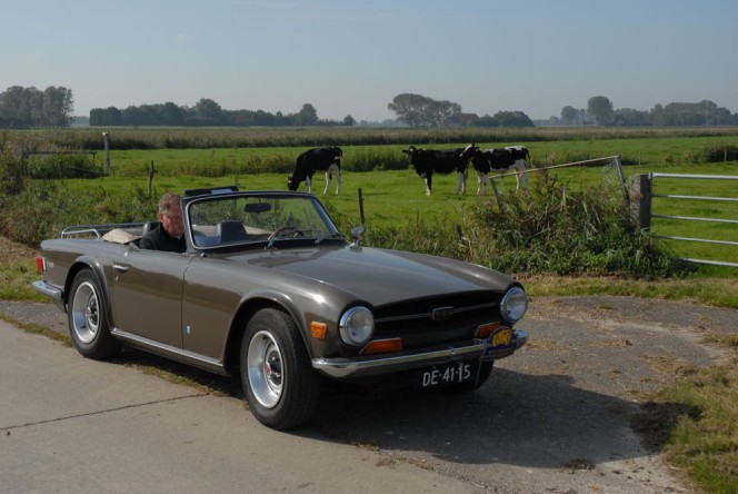 Kraalberg auto met pinken